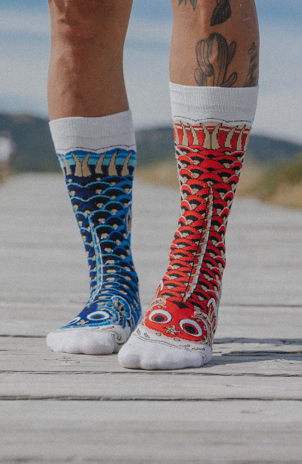 Socks - Koinobori Reloaded 鯉幟